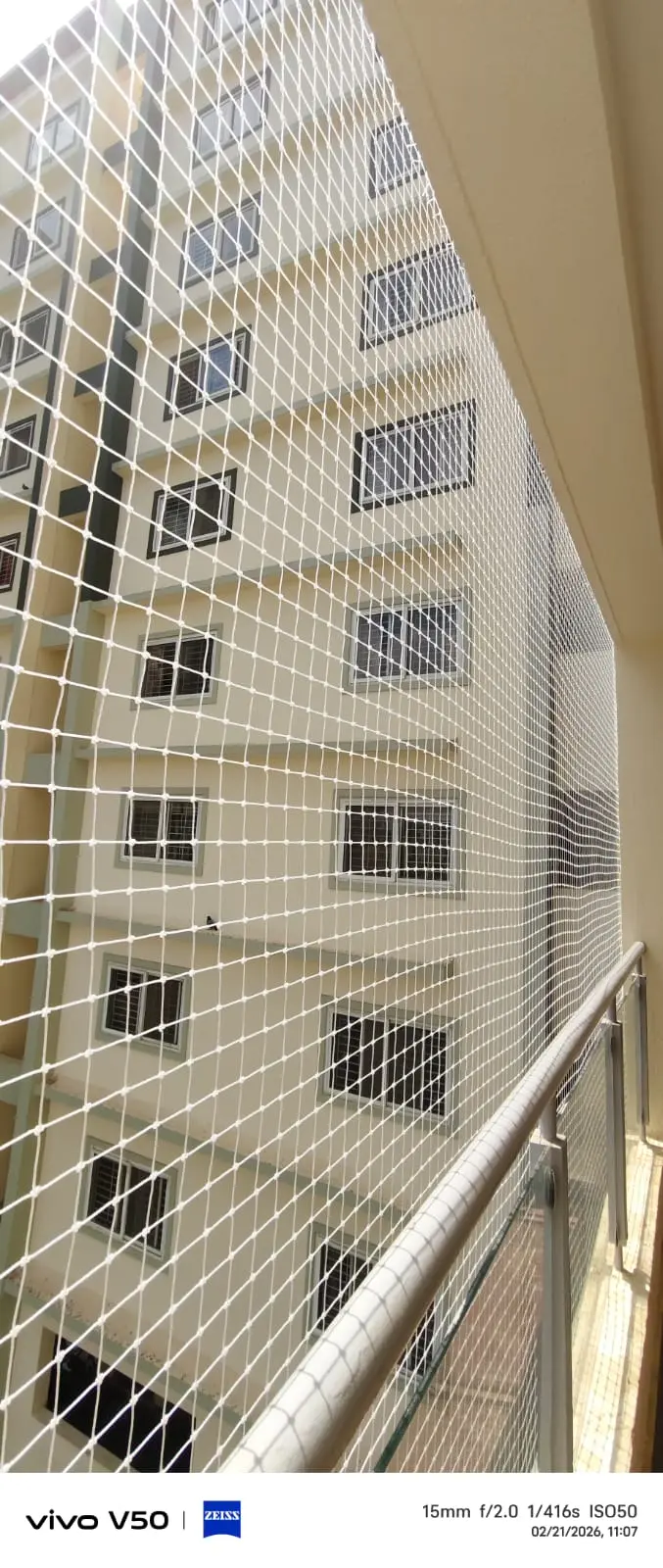 Bird Safety Net