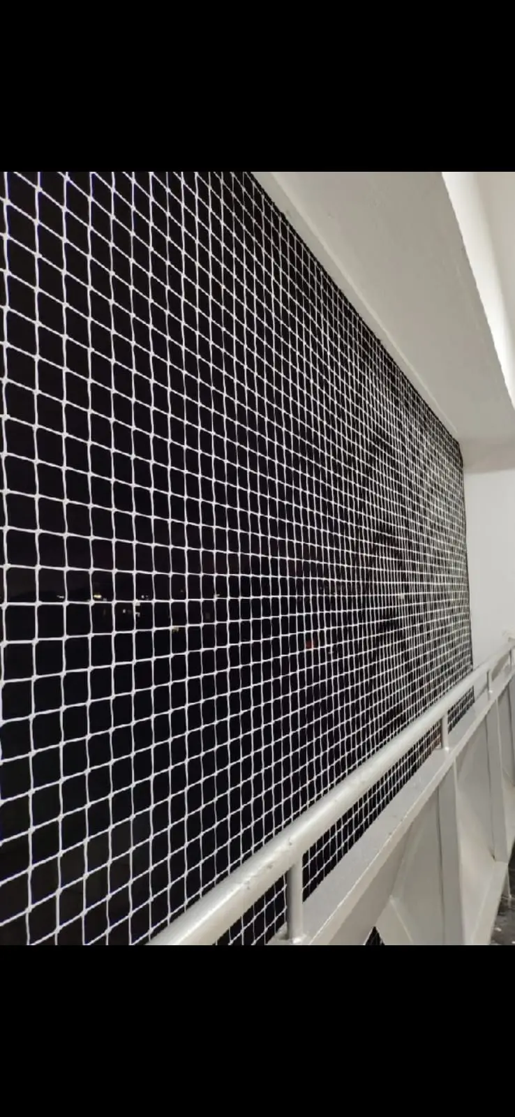 Pigeon Net